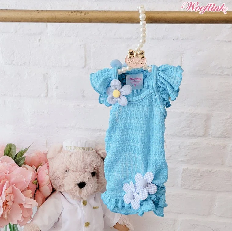 Wooflink Cotton Candy Summer Mini Dress - Blue Cozy A-Line Mini Dress